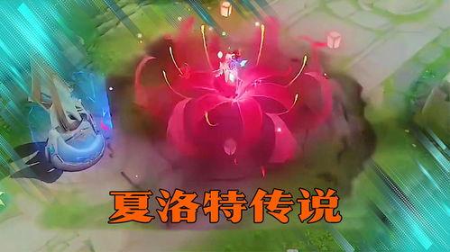 夏洛特古今物语最新爆料,揭秘神秘爆料，探寻时空交错之谜