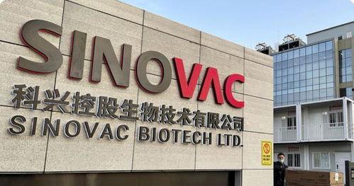 科兴中维最新爆料,揭秘疫苗研发背后的故事与挑战”